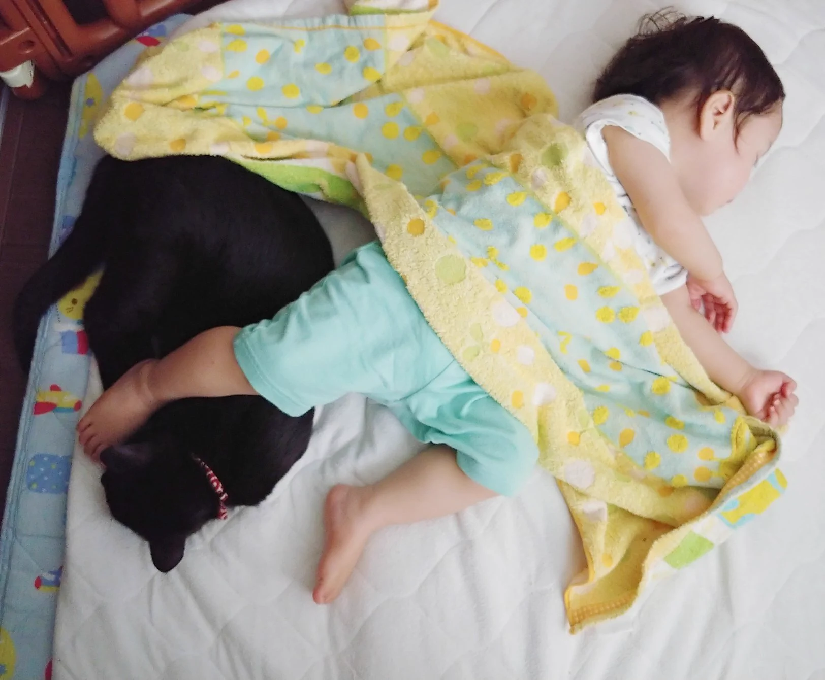 赤ちゃんと黒猫が仲良く寝ている光景！ほのぼの！！