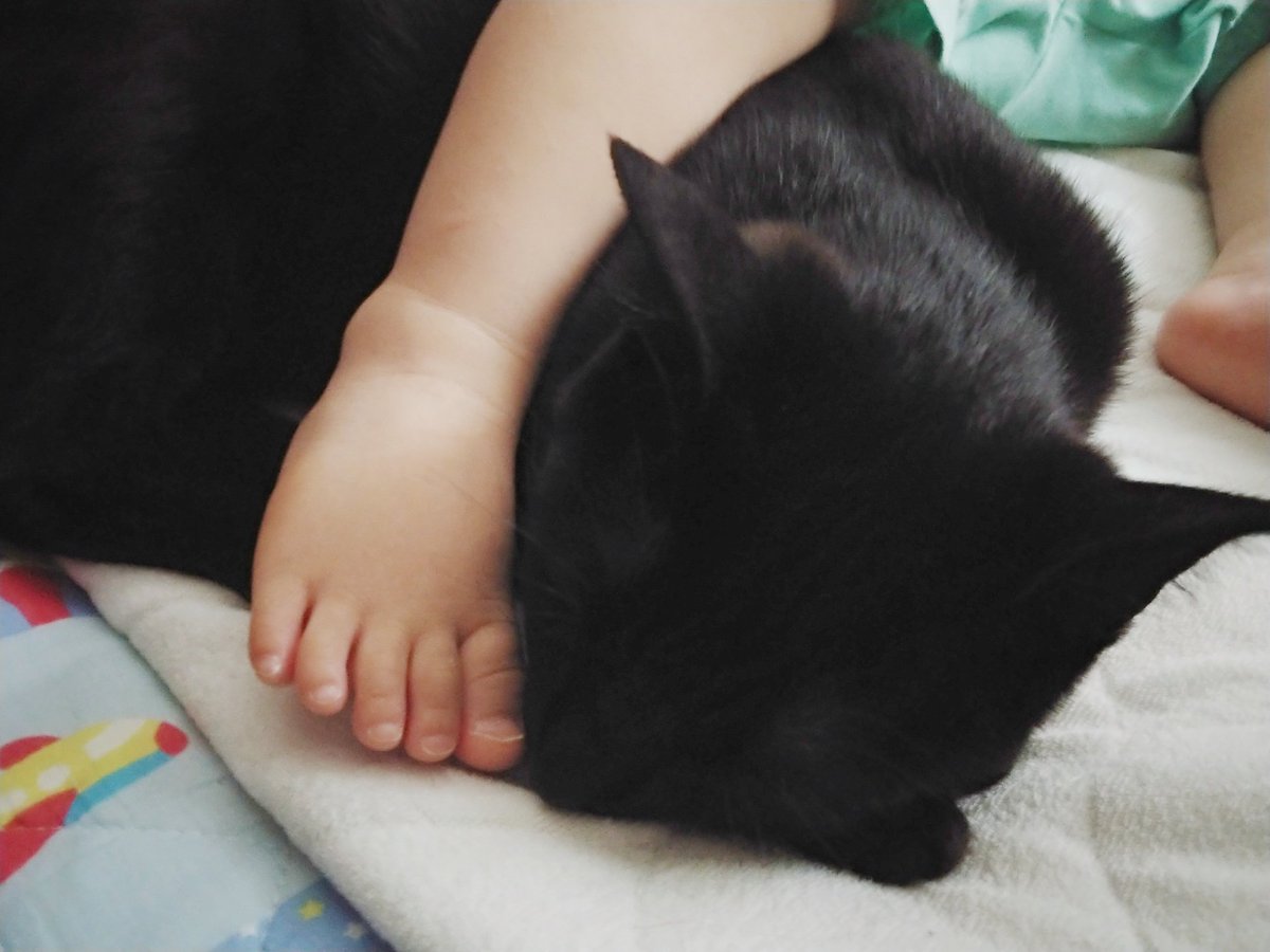 赤ちゃんと黒猫が仲良く寝ている光景!ほのぼの!