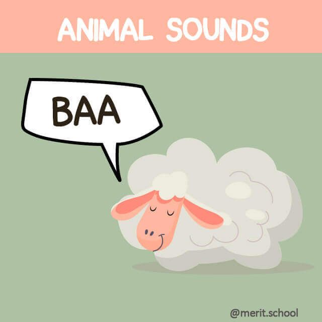 Merit_School's tweet photo. En inglés las 🐑ovejas🐑 dicen "baa"
¿Lo sabías?

Descubre más onomatopeyas en la edición especial animales aquí⬇️
https://t.co/9R9wJG0cyU https://t.co/zibnb2Mfxo