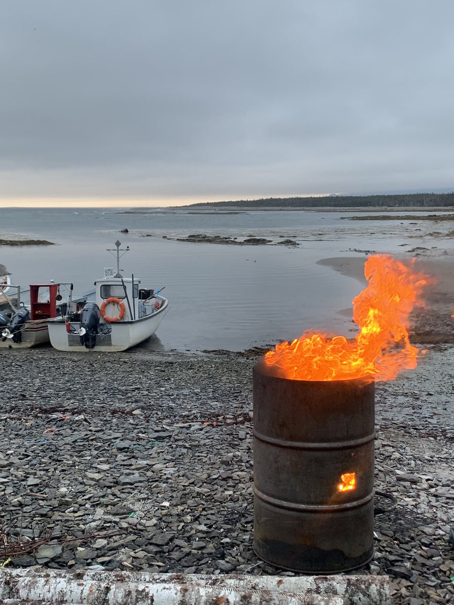 Applin93's tweet photo. Lobster season 2020 https://t.co/eboZuBkEzs