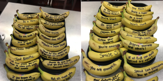 Grab and go breakfasts and lunches are available for pick-up, Mon, Wed and Friday at the High School main entrance from 7:30 to 10:30 a.m all summer.  <a href="/NLGustafson/">Nancy Gustafson</a> <a href="/millishigh/">Millis High School</a> <a href="/millismiddle/">Millis Middle School</a> <a href="/cfbcounselor/">Elise Molloy</a> <a href="/MillisAthletics/">Millis Athletics</a>