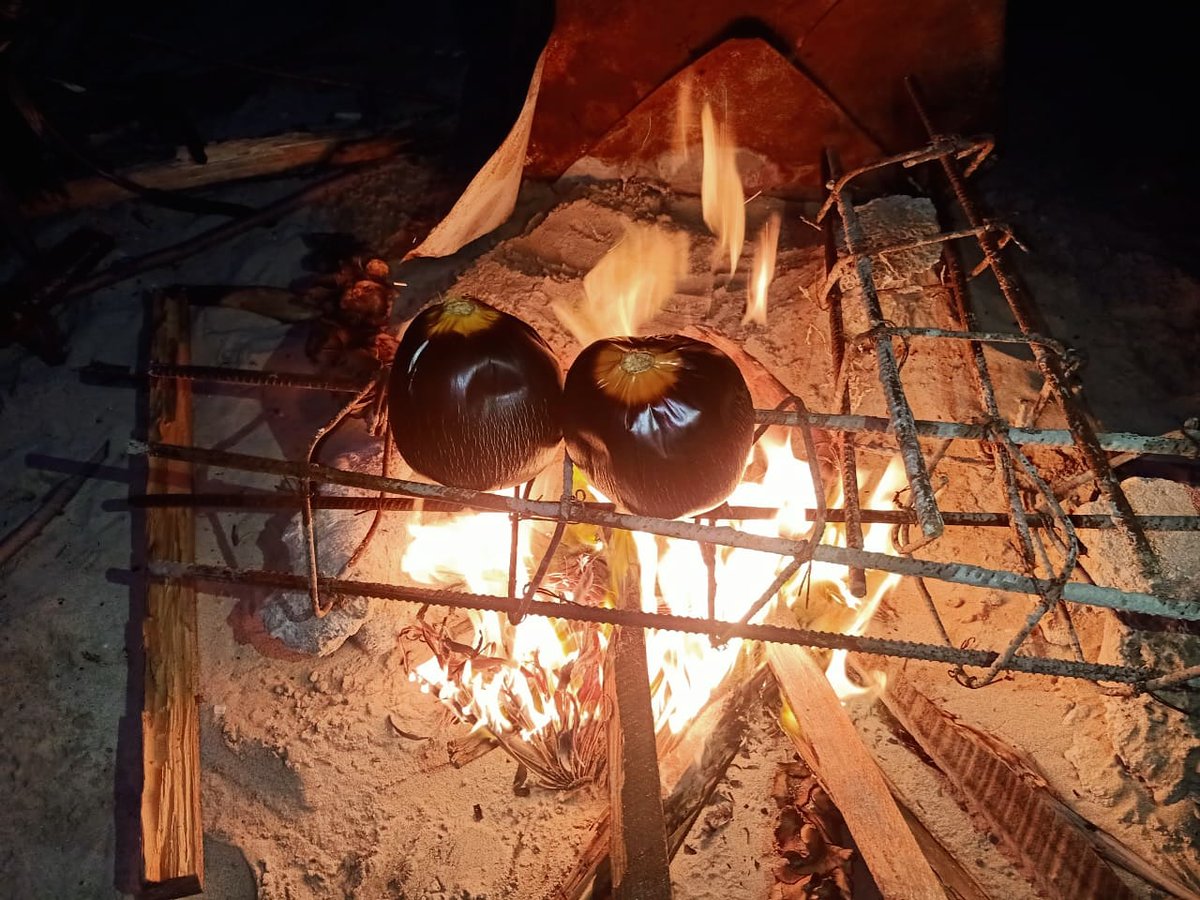 Jaffna MOJO Diaries Day 03 - Neduntheevu / Delft  #SriLanka  #beauty  #jaffna  #MOJO  #socialworklife  #socailwork  #mediacorps  #journalism  #night