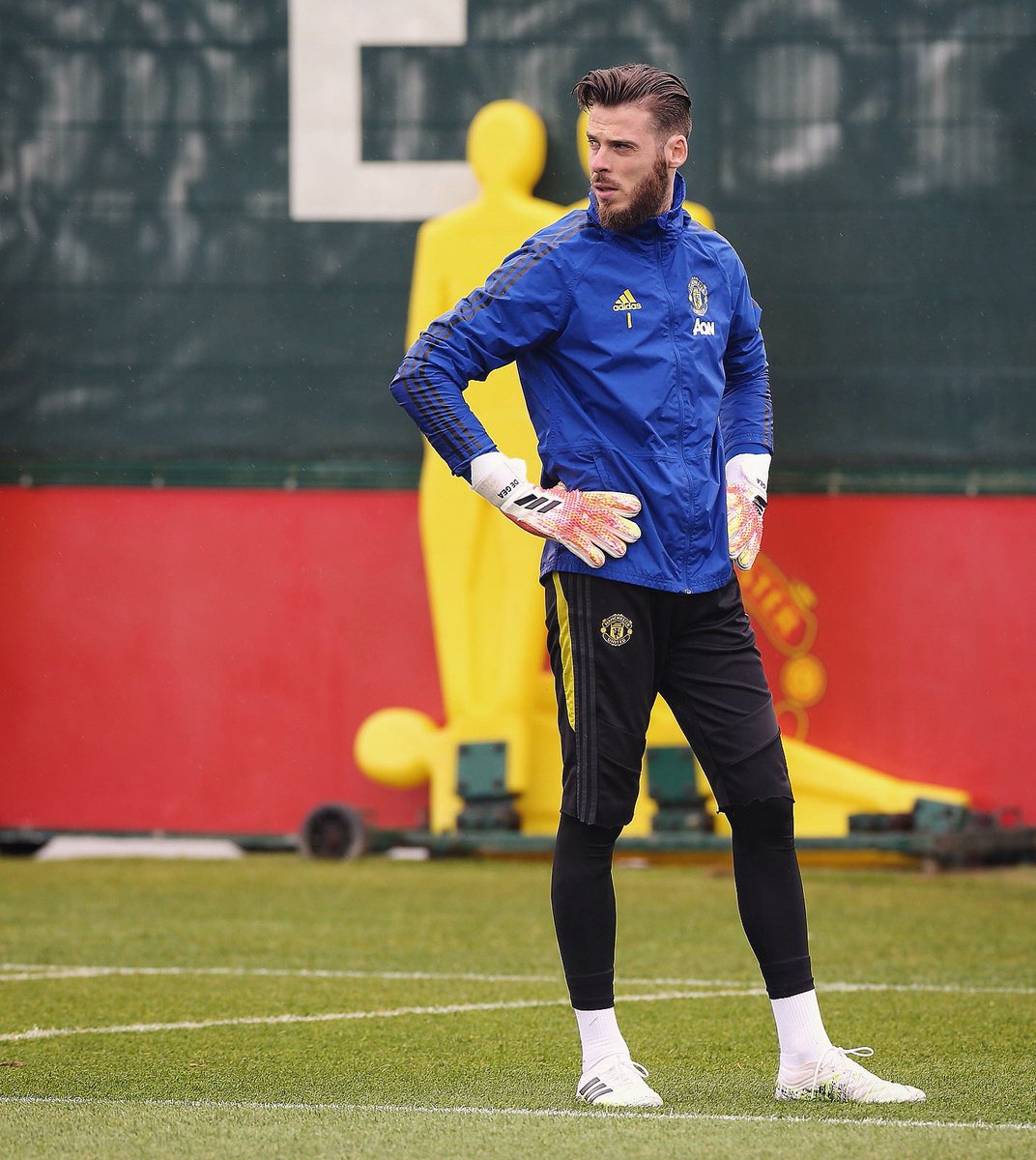 I love David De Gea to the core. He is the only player along with Rooney who deserve all the praise after Fergie retired.A thread on what has happened Dave needs to retrospect his performances. He has particularly been caught off guard by powerful Near post shots.