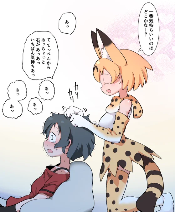さばんなコンビの一般的な毛づくろい 