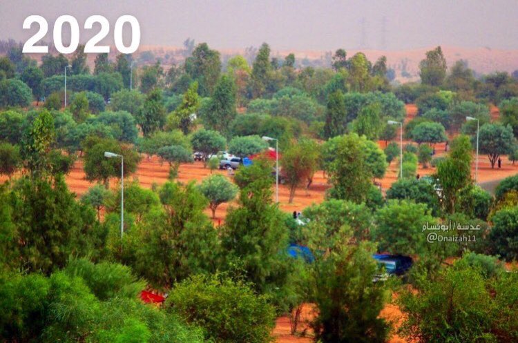 مغرد ينشر صورتين بينهما قرابة 10 سنوات لمنتزه عنيزة الوطني، تُبين أثر التشجير 🌲🌳 على البيئة.