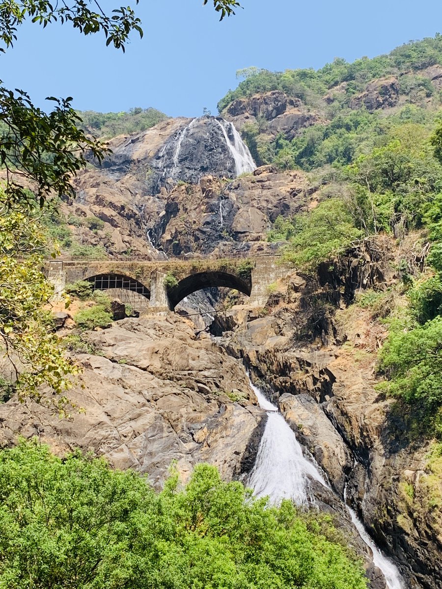 #Feel your feet soaked in this... ☺️😍

#DudhsagarFalls #Goa