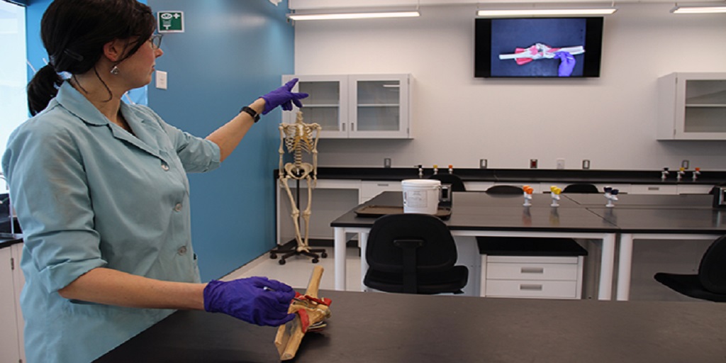 In the upcoming <a href="/YUTeaching/">YU Teaching Commons</a> (Teaching Commons) webinar, Prof. Nicolette Richardson will discuss &amp; demonstrate how her lab-based human anatomy course moved to online with virtual labs. Join the webinar on June 25, 10am-11:30am via Zoom. Register here bit.ly/3hShpYH #YorkU