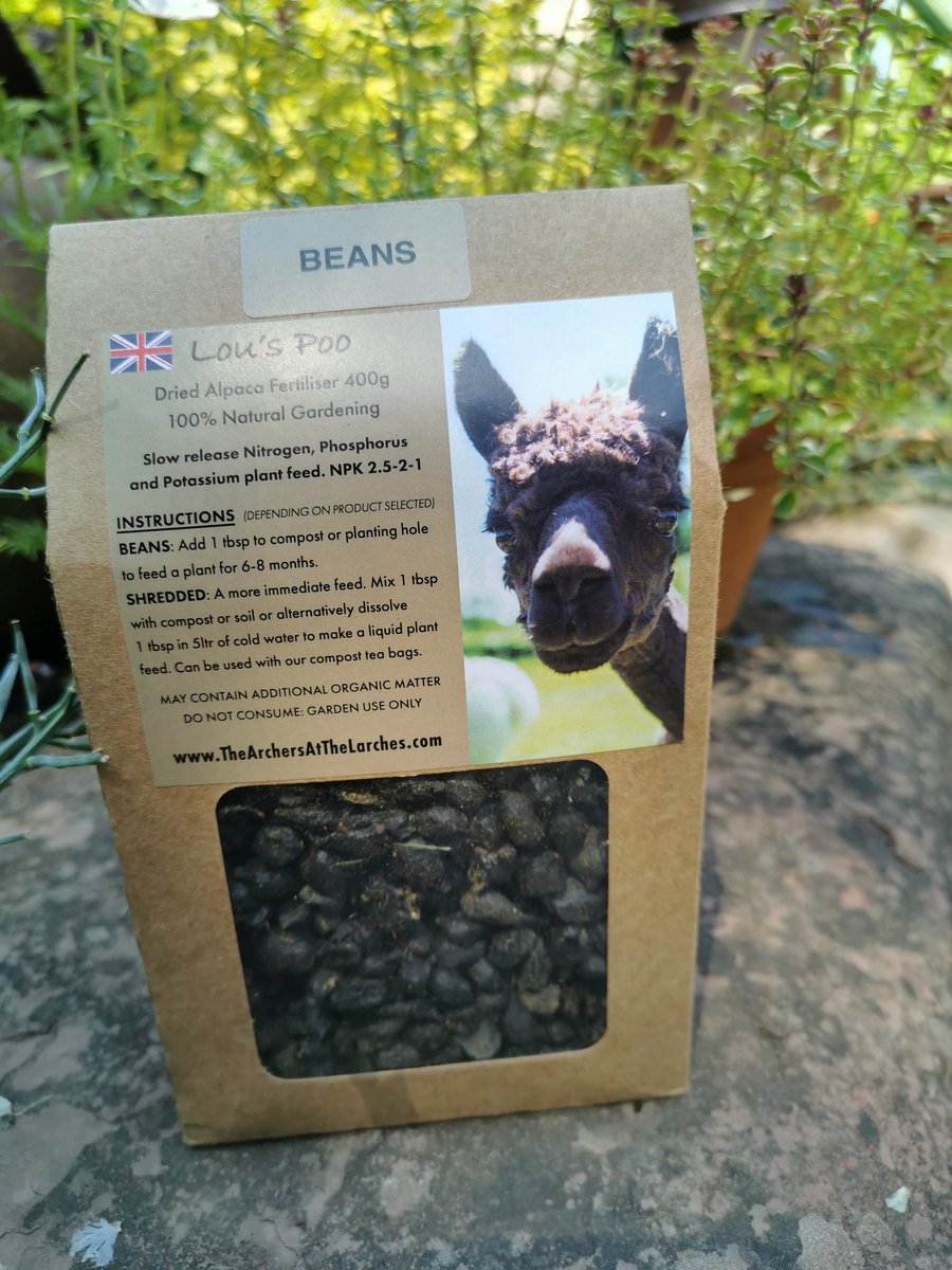 Very excited to be feeding my #tomatoes with #alpaca poo this summer. 100% natural #gardening &amp; a local #Shropshire product. Can't get better than that. Thanks <a href="/LouAtLarches/">Lou</a>