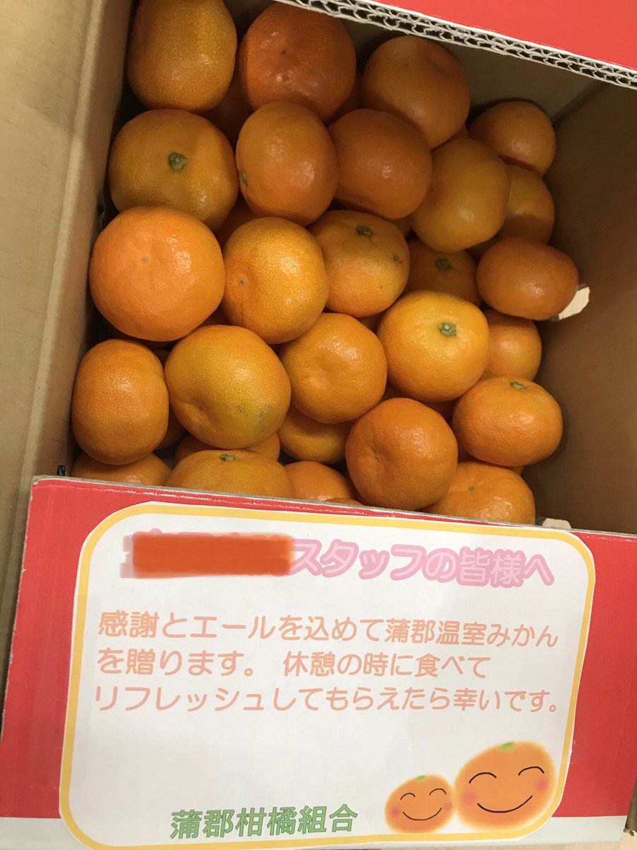 蒲郡温室みかん 蒲郡温室みかん