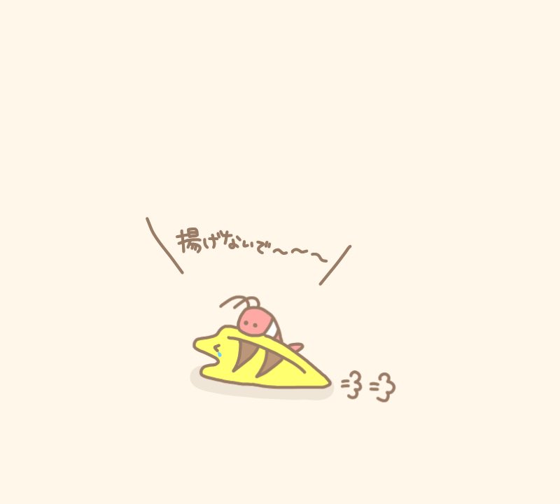 れれれ ウツボ エビちゃん連れて逃走です れれれ ウツボ エビちゃん連れて逃走です