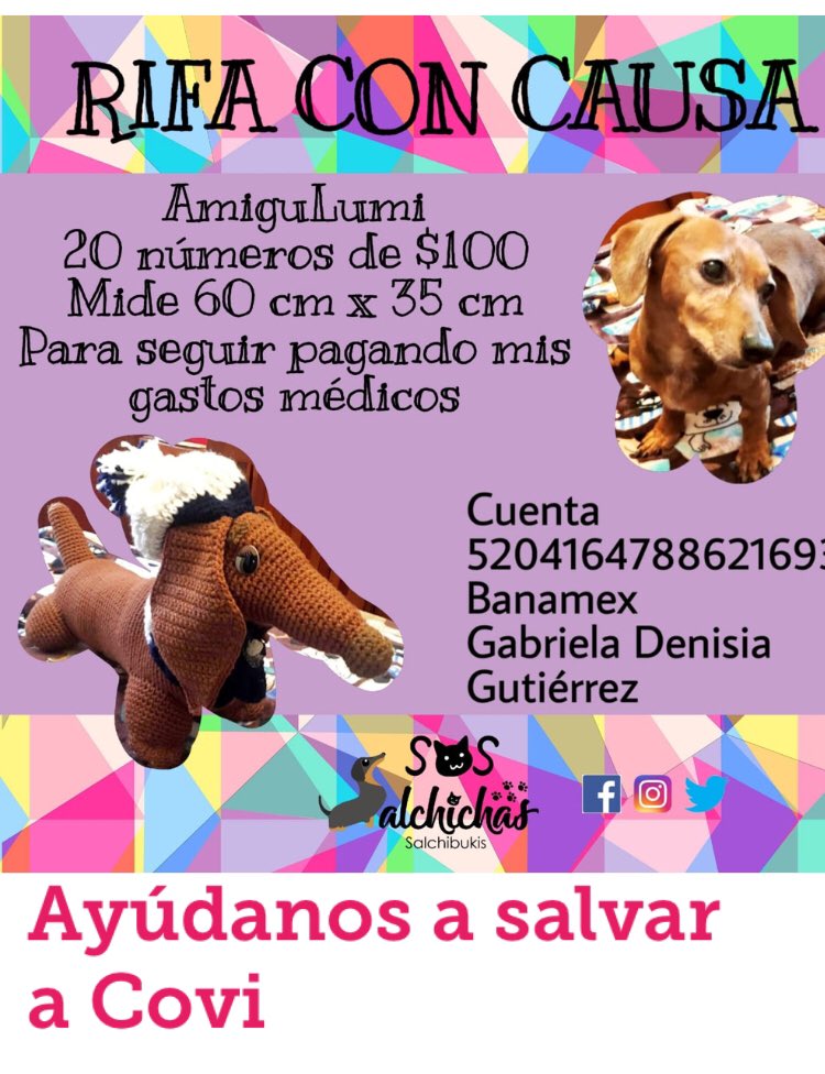 SOSsalchichas's tweet photo. Terrible noticia:  #Covi, el bb pitbull que rescatamos hace un 1 semana, tiene parvovirus está Internado y necesitará mucha ayuda les pedimos que nos apoyen participando en las dos rifas que tenemos en curso. Ayúdennos a ayudarlo por favor. Es un bb con mucha vida por delante🙏🏻🙏🏻 https://t.co/TU0iUDVfNU