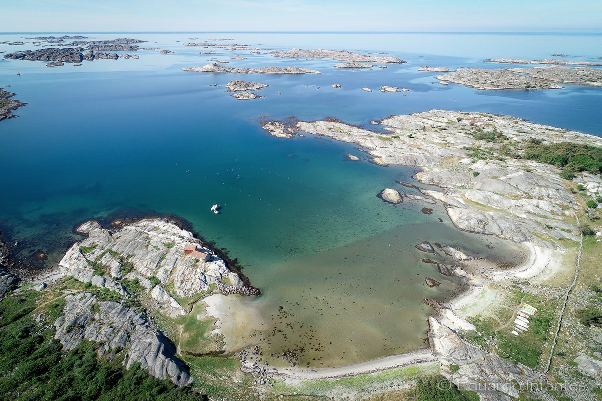 Eduardo Infantes tweet media