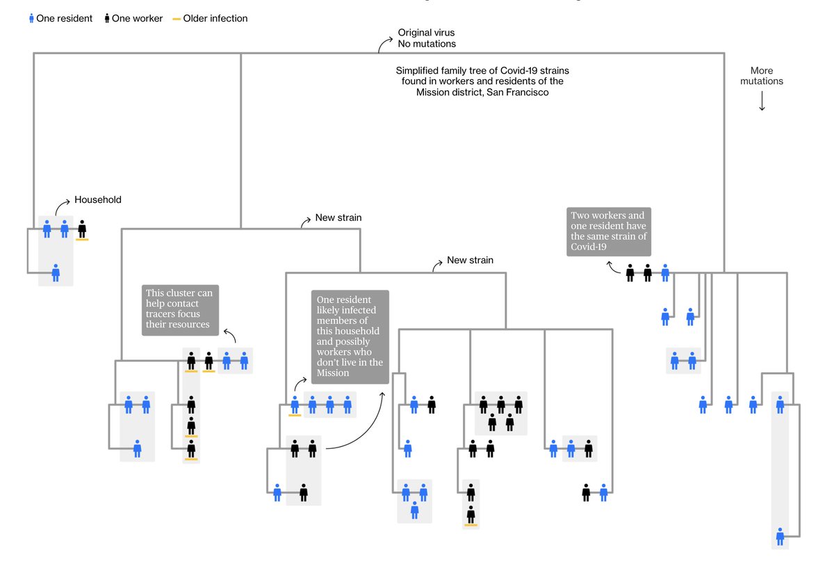 The chart illustrates the genetic relationships of all the Covid-19 cases found in that four-square-block area.It tells us a lot about how the coronavirus spreads  http://trib.al/OBYzOVt 