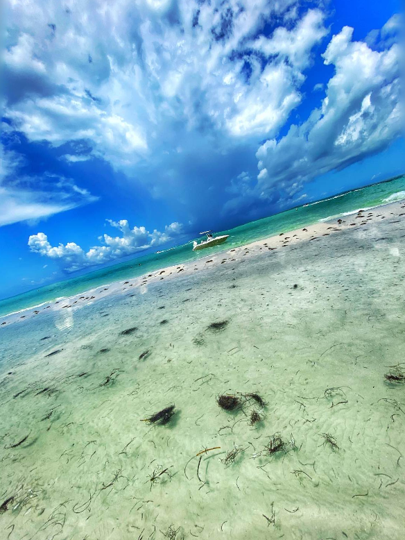 WickerInn's tweet image. Stunning Views, on Longboat Key, FL.