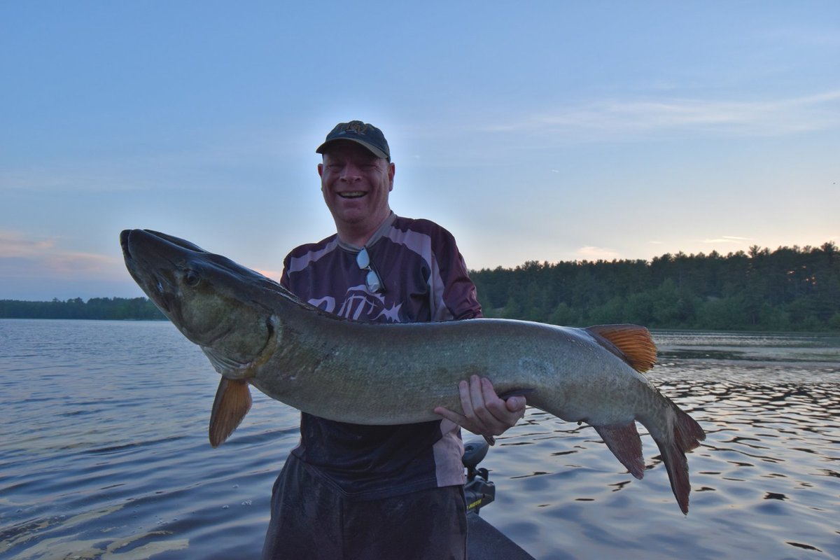 BearsDenFishing's tweet photo. "A great way to spend Father's Day. So grateful for my home family that supports me and indulges my need to fish, so grateful for my Bears Den Lodge family that does the same." - George Taylor

#FishingFrenchRiver #CatchnRelease #TourismMatters @NeOntario https://t.co/tUR8YtLtSn