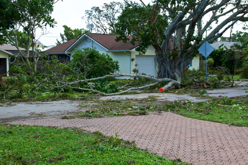 ForestTreeTX's tweet image. Determining whether or not a tree is salvageable after storm damage can be a tough call. Here are a few questions to help you reach the right decision!
foresttreeservicekingwood.com/can-your-storm…