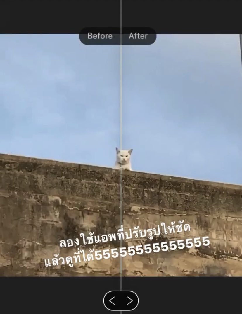ʕ•͡•ʔปลปᡣ𐭩🌈🧁🧸(ยันต์กันแม่เคะ) tweet media