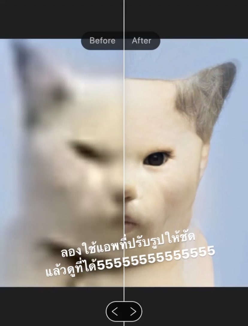 ʕ•͡•ʔปลปᡣ𐭩🌈🧁🧸(ยันต์กันแม่เคะ) tweet media