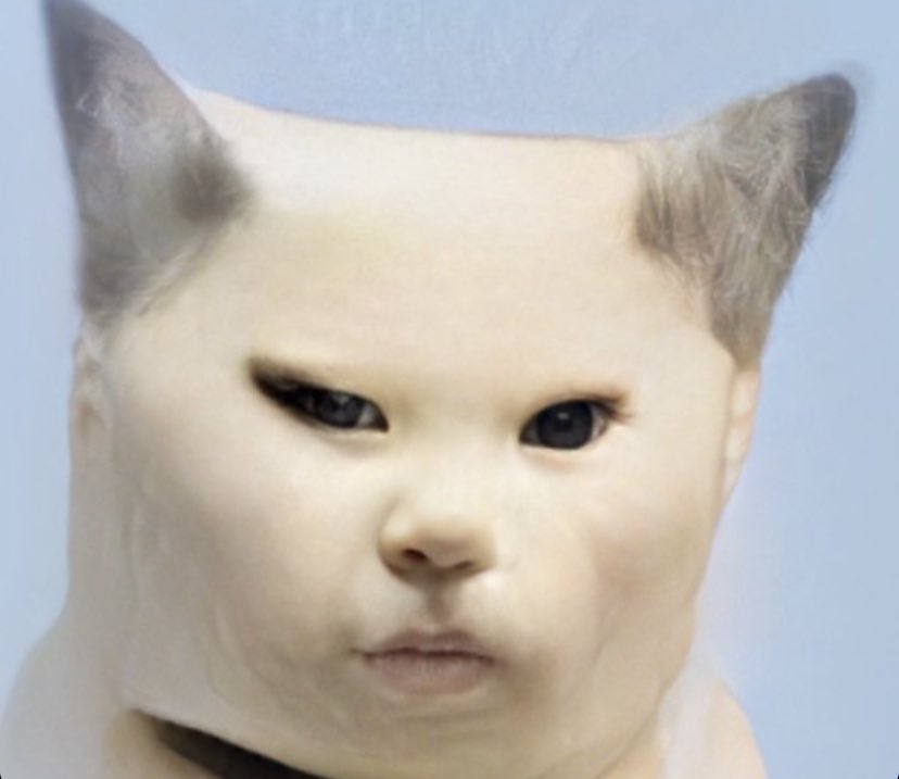 ʕ•͡•ʔปลปᡣ𐭩🌈🧁🧸(ยันต์กันแม่เคะ) tweet media