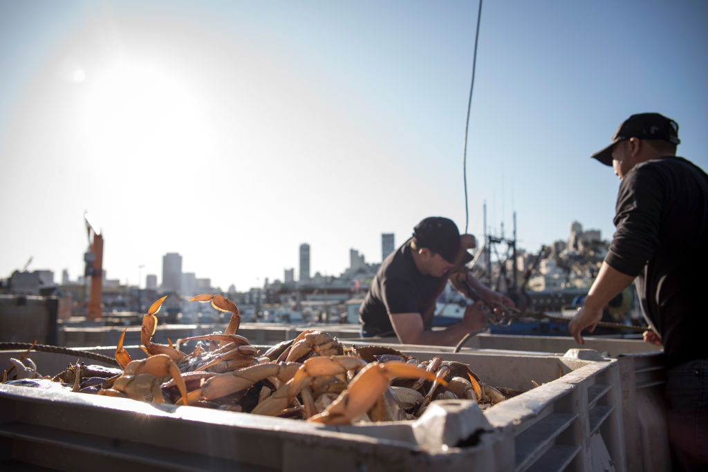 It works at opening things up, too. Last week, a pair of workers at a fish-packing plant tested positive for Covid-19. Usually the fear that special measures weren’t keeping workers safe would have forced the plant to close, but not this time  http://trib.al/OBYzOVt 