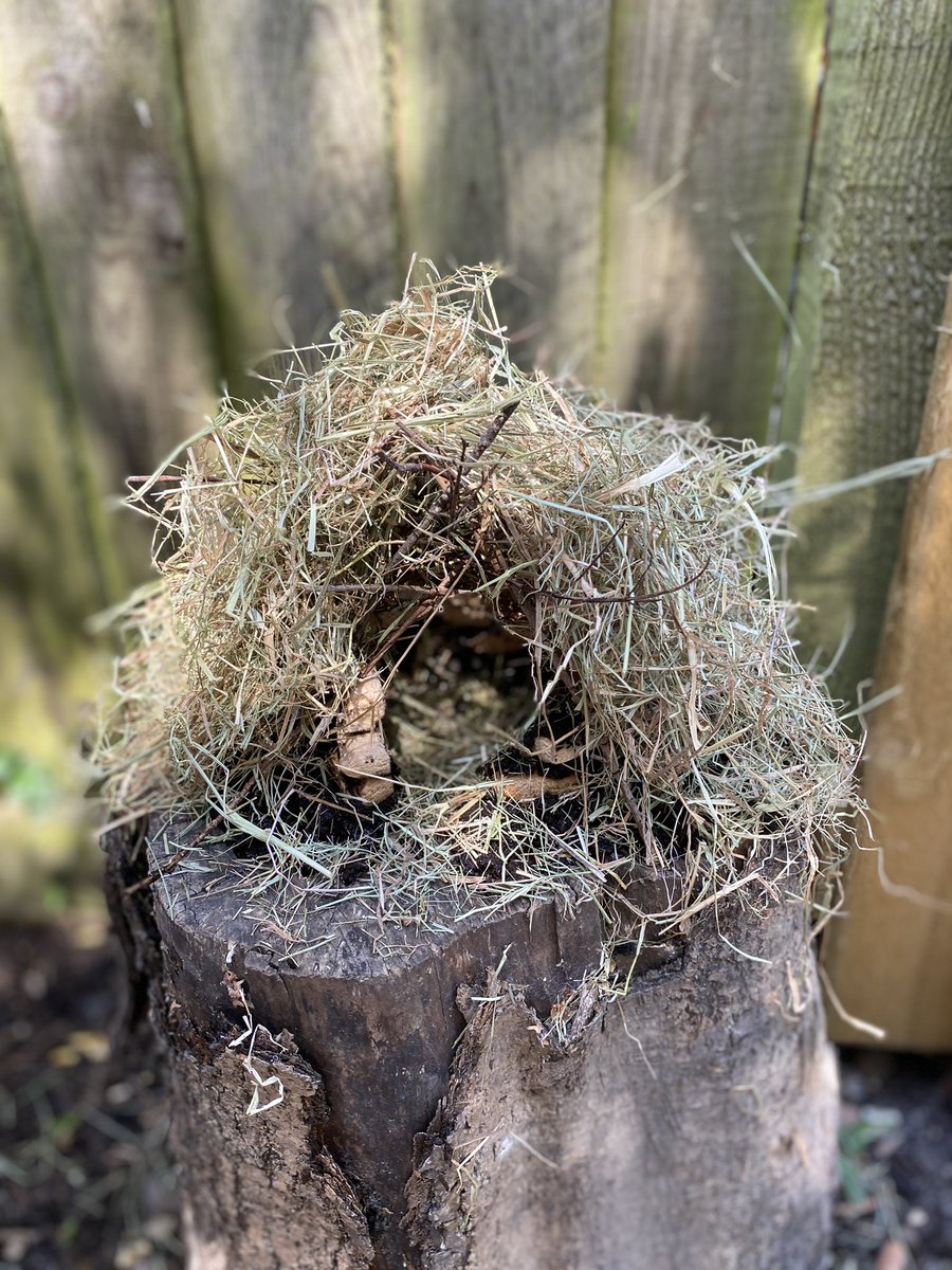 AnnerRitchie's tweet photo. Mr Walton &amp; Miss Crisp - Today we combined Amelias salt dough activity with Jasmines Stone Age craft activity and made a Stone Age house with salt dough bricks 🧱! @St_Josephs_Glos https://t.co/yQrsirhHoq