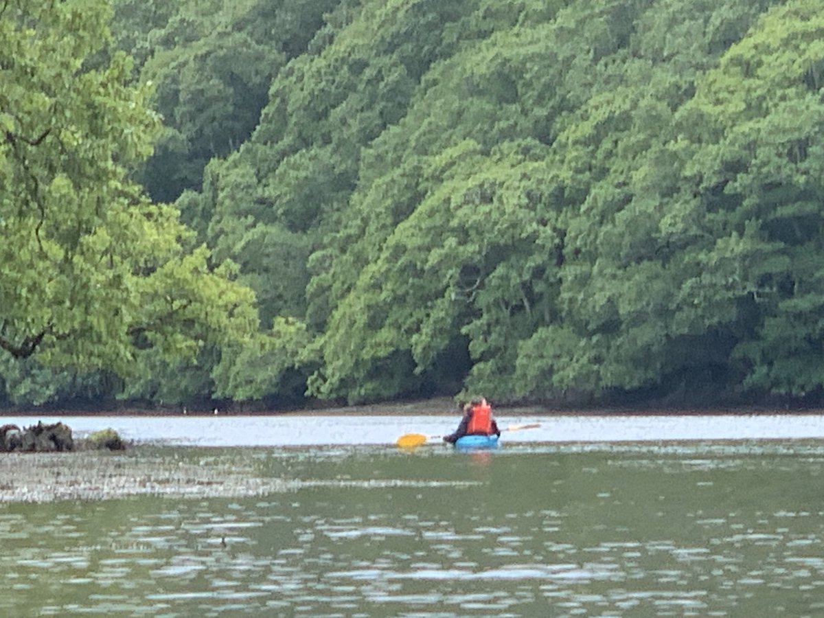 Only 10 more lazy days before the lockdown eases and Cornwall’s summer rush starts. Join us if you can while it’s quiet. Daily trips. Small groups guaranteed!