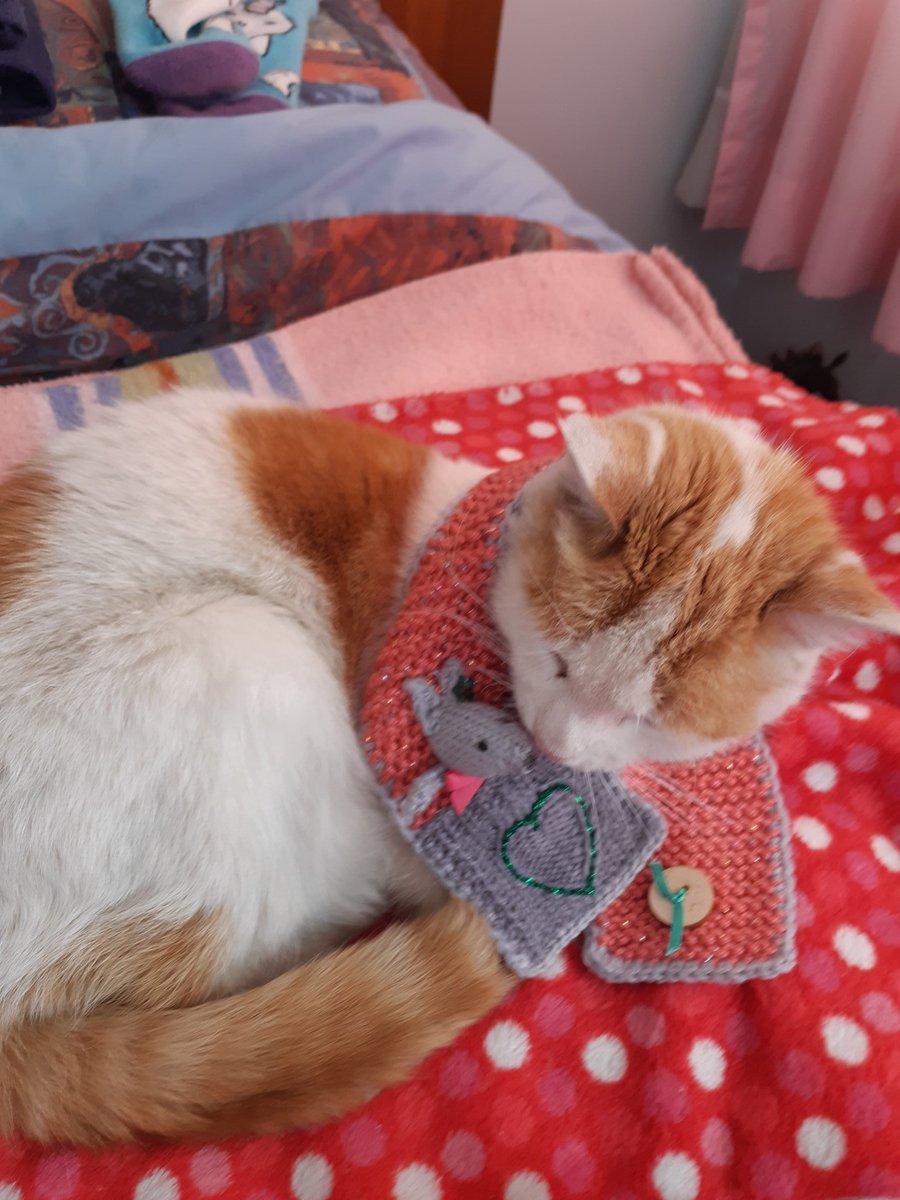 stichof9lives's tweet photo. I love my little roo I even gave it a kiss @The_Bollies @AngusMcPussPuss @frisky9 #friskyscarf #saweather #sacoldfront https://t.co/WXvSixXXgS