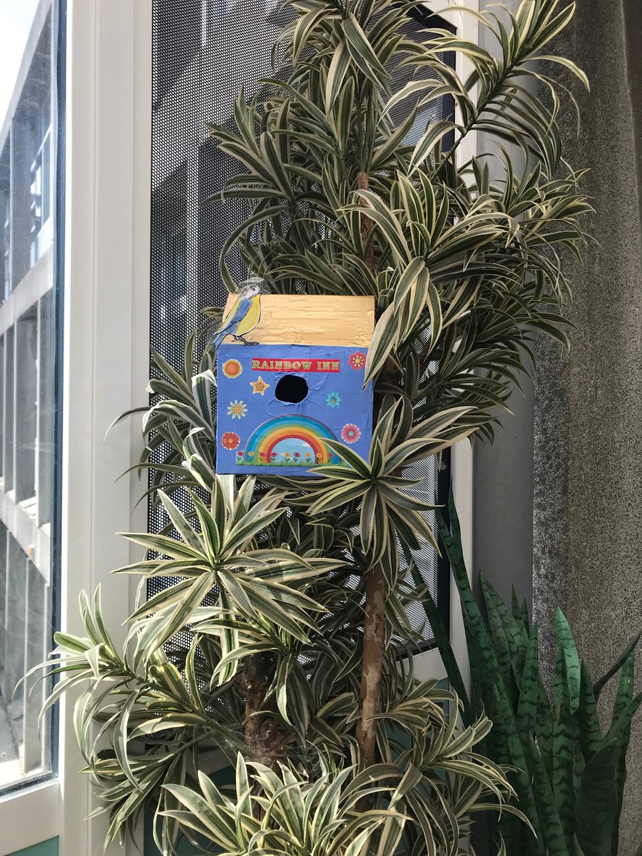 NphWard's tweet photo. Our garden is looking lovely in full bloom. Now open to birdie holiday bookings - enjoy a stay in our Rainbow Inn! 🌈 https://t.co/ZK6dLsuUv0