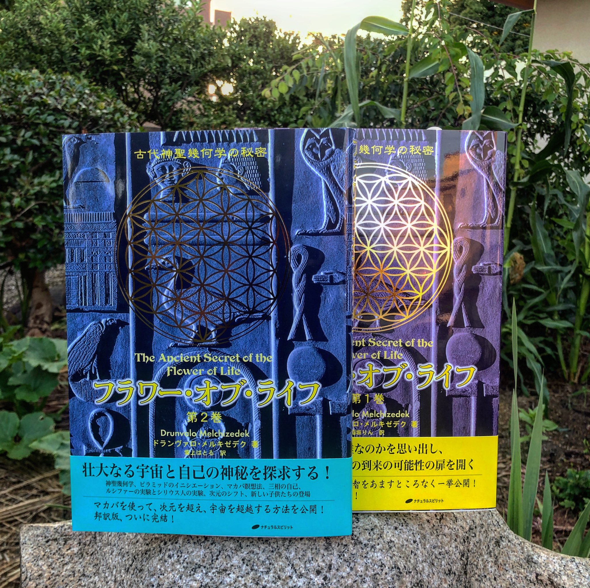 フラワー・オブ・ライフ(第2巻) ドランヴァロメルキゼデク フラワー・オブ・ライフ 古代神聖幾何学の秘密 第2巻 - メルカリ