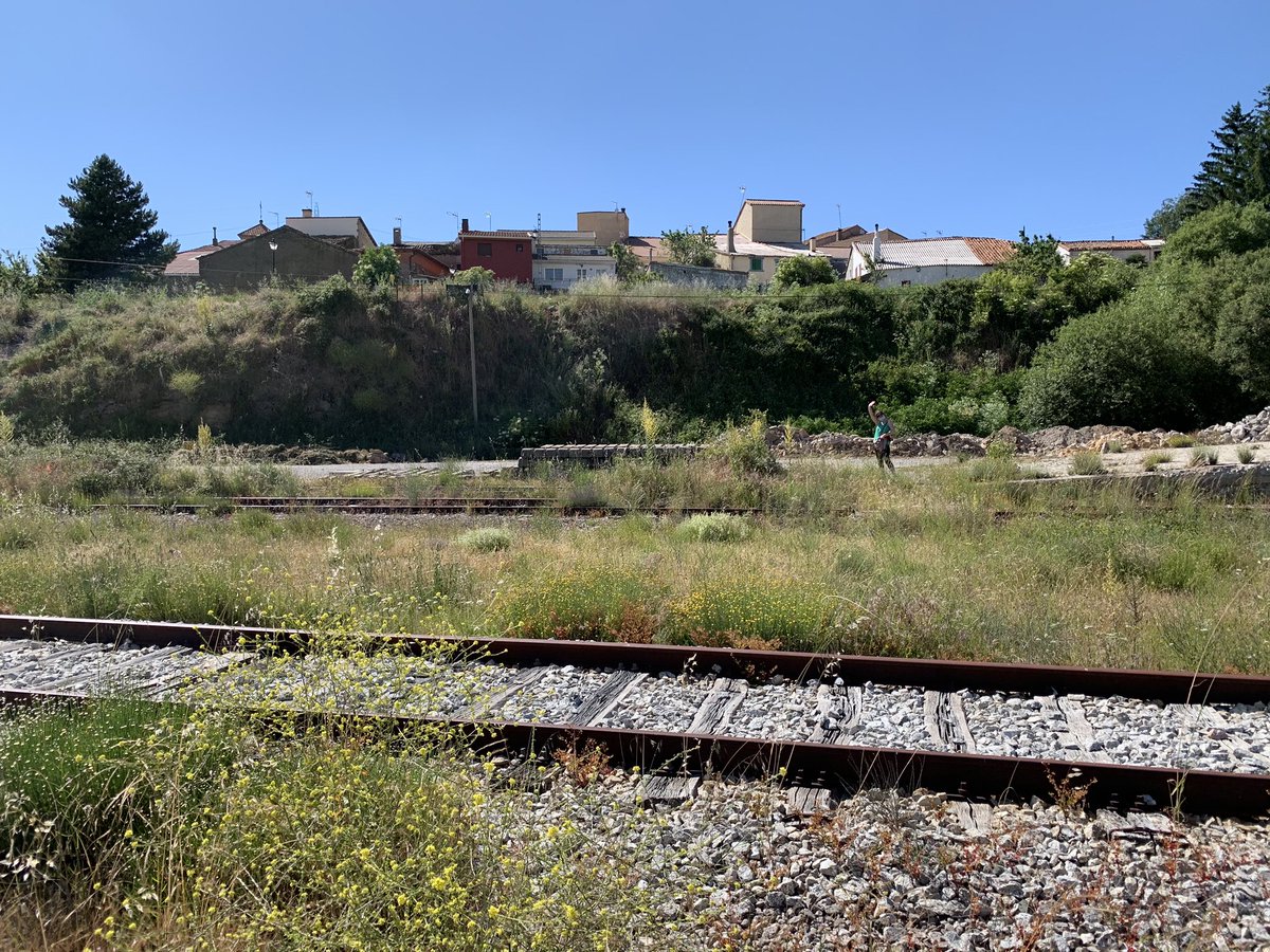 unpaisenmiblog's tweet photo. El fin de semana visité las estaciones abandonadas de Robregordo y Gascones-Buitrago. Se te cae el alma a los pies. Uno sueña con un cercanías que diera servicio a estos pueblos y que, sin duda, revitalizaría la zona, o con el Translozoya funcionando... 🙄
Lo dicho, sueños... 🚉 https://t.co/b3fazwIUyW
