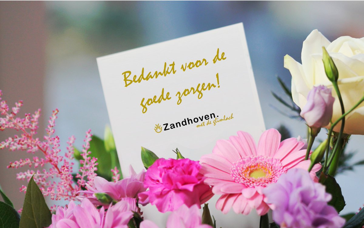 GEMZandhoven's tweet photo. Vandaag zetten we graag alle mantelzorgers in onze gemeente in de bloemetjes 💐! Jouw inzet en goede zorgen als mantelzorger zijn enorm belangrijk en onmisbaar!

#inzandhoven #dagvandematelzorger #bedankt https://t.co/8nmHq4aeKu