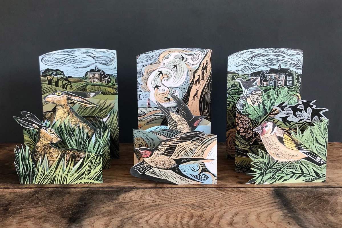 artangelsltd's tweet photo. We’ve just released these three new die-cut concertina cards by @ANGELACHARDING - Hares and Open Field, Cornish Swallows &amp; Garden Birds. Available now! https://t.co/BoUXuqqtWv