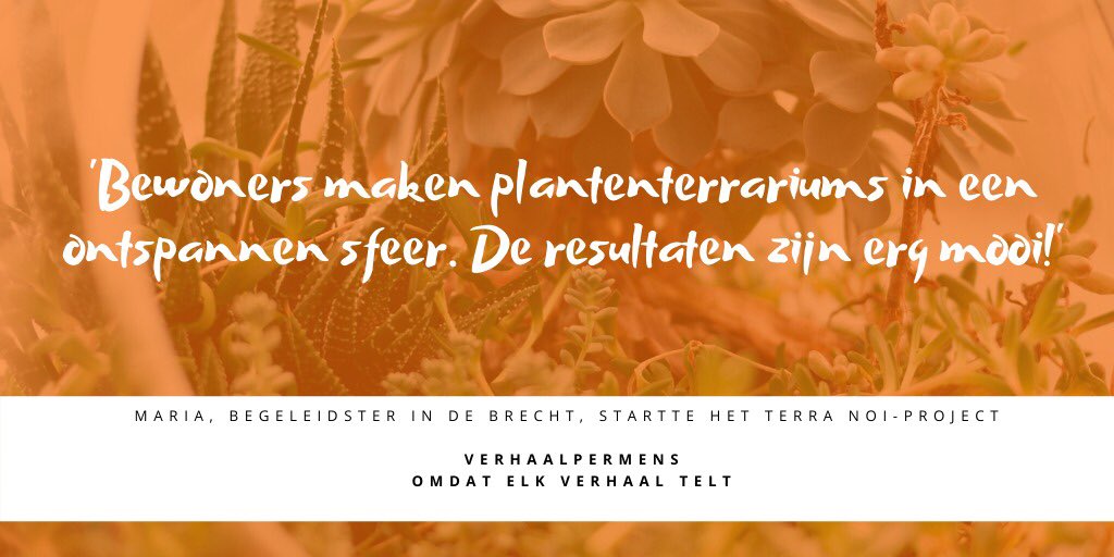 verhaalpermens's tweet photo. Maria, begeleidster bij #DeBrecht, een woonvoorziening van #VBSCW, startte het #TerraNoi-project. Bewoner Herman vertelt hoe het is om #plantenterrariums te maken. Lees dit #VerhaalperMens hier: https://t.co/EDz24DP3IC https://t.co/6gCDQWff3G