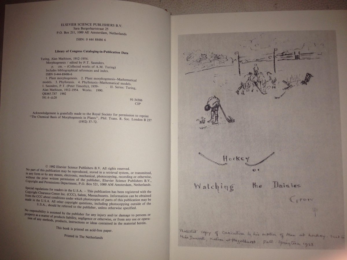 Even as a child, Alan saw life through the eyes of a scientist. There is a famous sketch of Turing as a boy “watching the daisies grow” while the other children play field hockey.