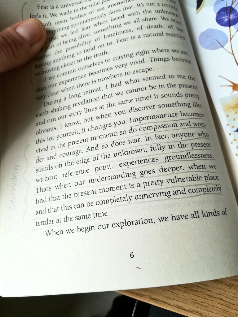 anghenn's tweet photo. Next read. 'When things fall apart - heart advice for difficult times' #PemaChodron. I picked this up after listening to an episode of @onbeing. Krista talked to the lovely @devendrabanhart about this book. Pema is a renowned buddhist teacher. #alwayslearning #fearandhope https://t.co/Gv64qogy6V