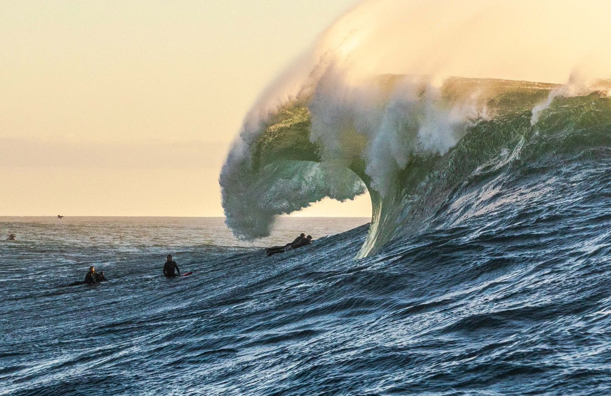 TotalSurfcamp's tweet photo. โ๏ธ If you don't know the basic rules of surfing, you're lost.
Surf etiquette is the only thing that keeps order in the water ๐
Get ready for your next party wave ๐ San Diego style.
https://t.co/V8uKUTMOIe
#surfetiquete #surfrules #safesurf https://t.co/CrGFxhdL3O