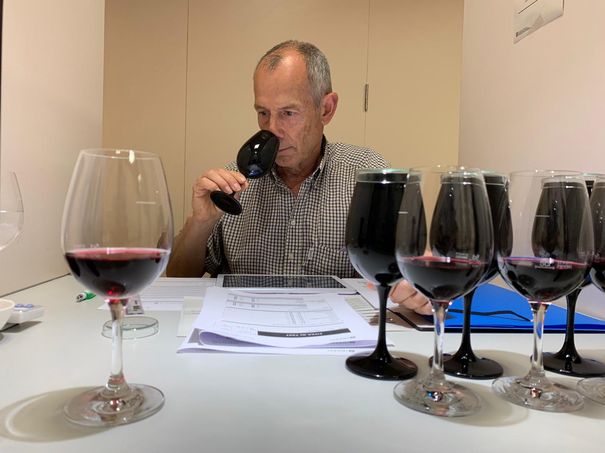 incavicat's tweet photo. Al Panell de Tast de Catalunya es tasten 60 vins elaborats amb varietats minoritàries de tot l'estat espanyol
👉 S'emmarca en #MINORVIN, projecte que posa en valor varietats minoritàries de vinya i el seu potencial per fer front al canvi climàtic
https://t.co/xXDIbKPZio https://t.co/HWzPfKz27F
