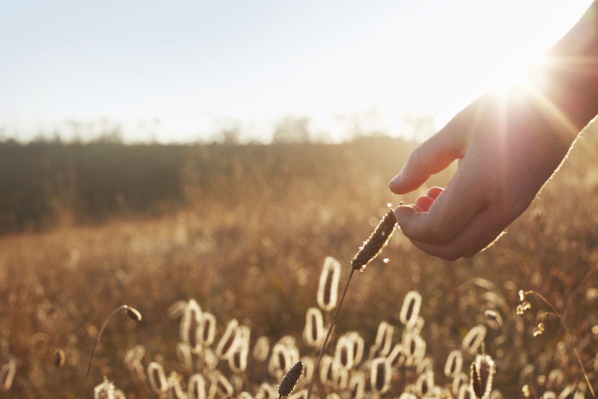 Fortum's tweet image. Fortum Bio2X joins 62 other bio-based industry leaders to call EU Commissioners for a stronger support for the bioeconomy. It is crucial in reducing Europe’s dependency on fossil-based resources, sustaining healthy ecosystems and reaching the climate goal 
biconsortium.eu/news/green-rec…