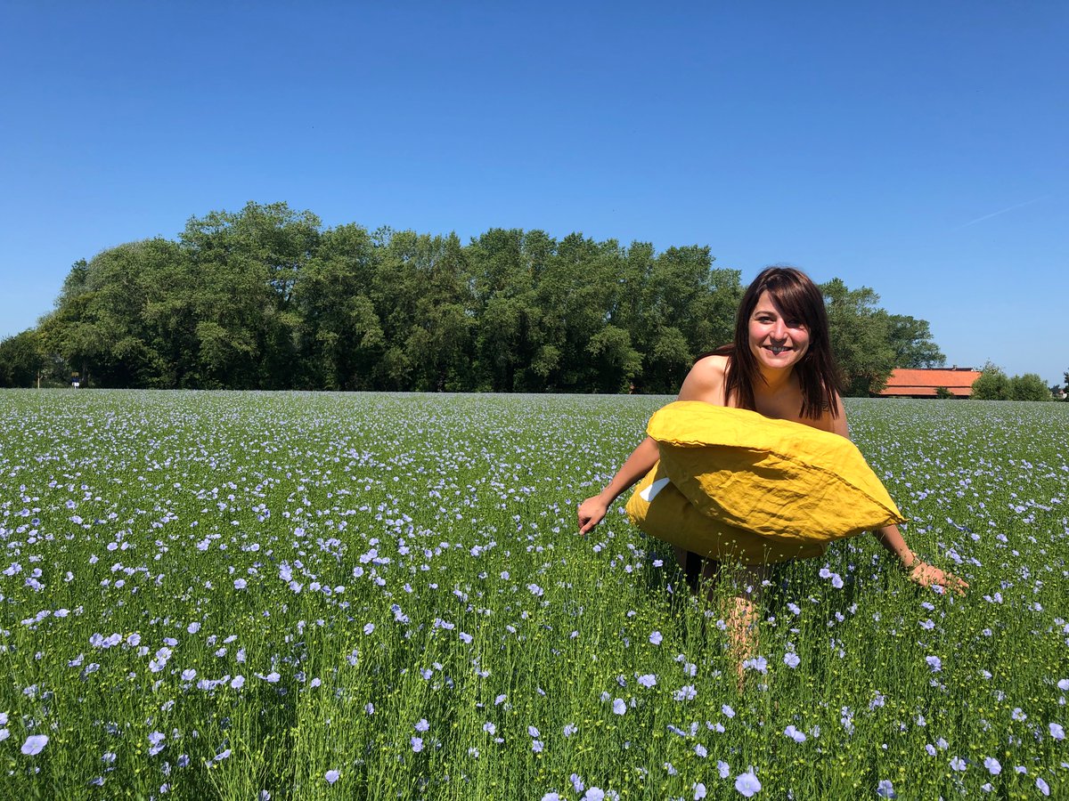 Alliance for European Flax-Linen & Hemp tweet media