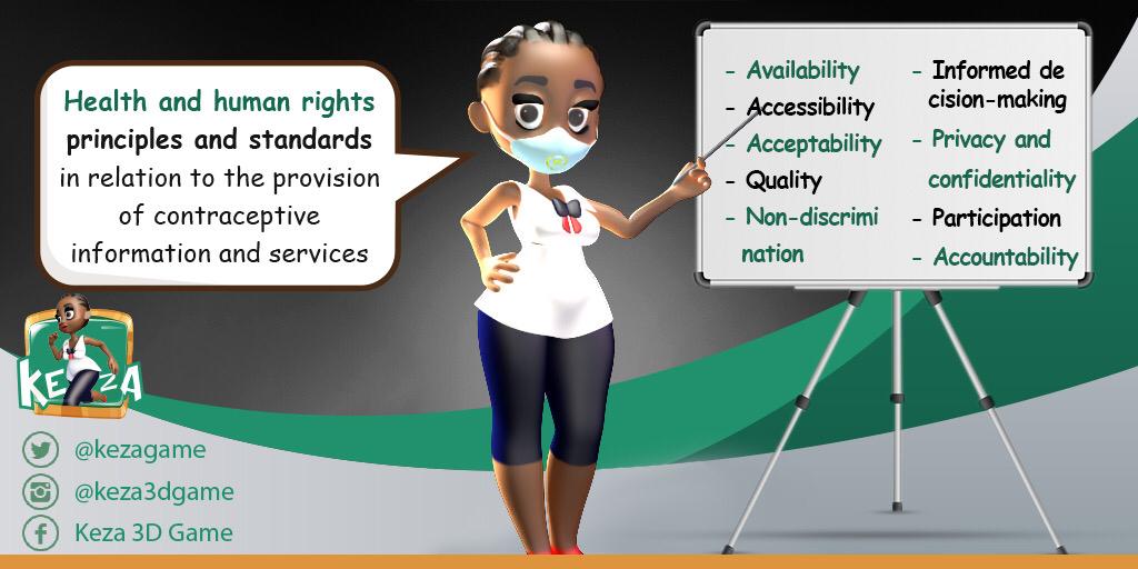 Nine health and human rights principals and standards were identified