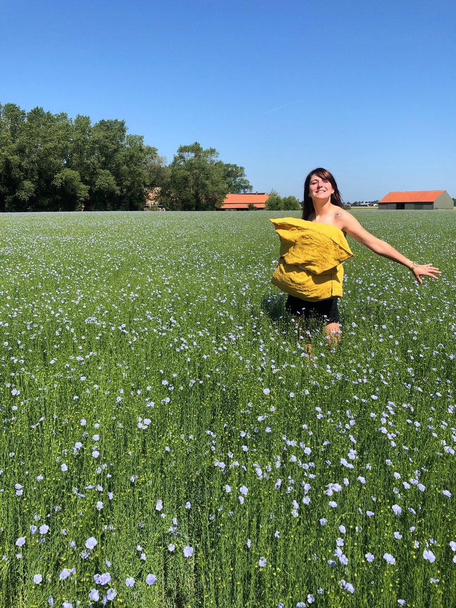 Alliance for European Flax-Linen & Hemp tweet media