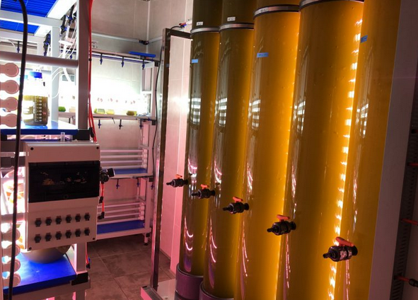 IPacuicultura's tweet photo. El 33 % de la producción científica mundial sobre microalgas incluye autores europeos https://t.co/GyrSfiwlHt
Es una de las conclusiones de la revisión realizada por @enh_microalgae  de las investigaciones llevadas a cabo con microalgas hasta el año 2019 https://t.co/XXr6PHLlO0