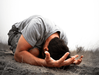 Salmo 142:4,5

Miro..
No tengo REFUGIO;
no hay quien se
preocupe por mi vida
A ti CLAMO, oh Jehová.
Digo: 
Tú eres mi REFUGIO
y mi porción en la tierra
de los vivientes

Nuestro único, verdadero y suficiente REFUGIO y SALVADOR es Jesús.

Habla con él. Clama; él te ayudará!

#rpsp