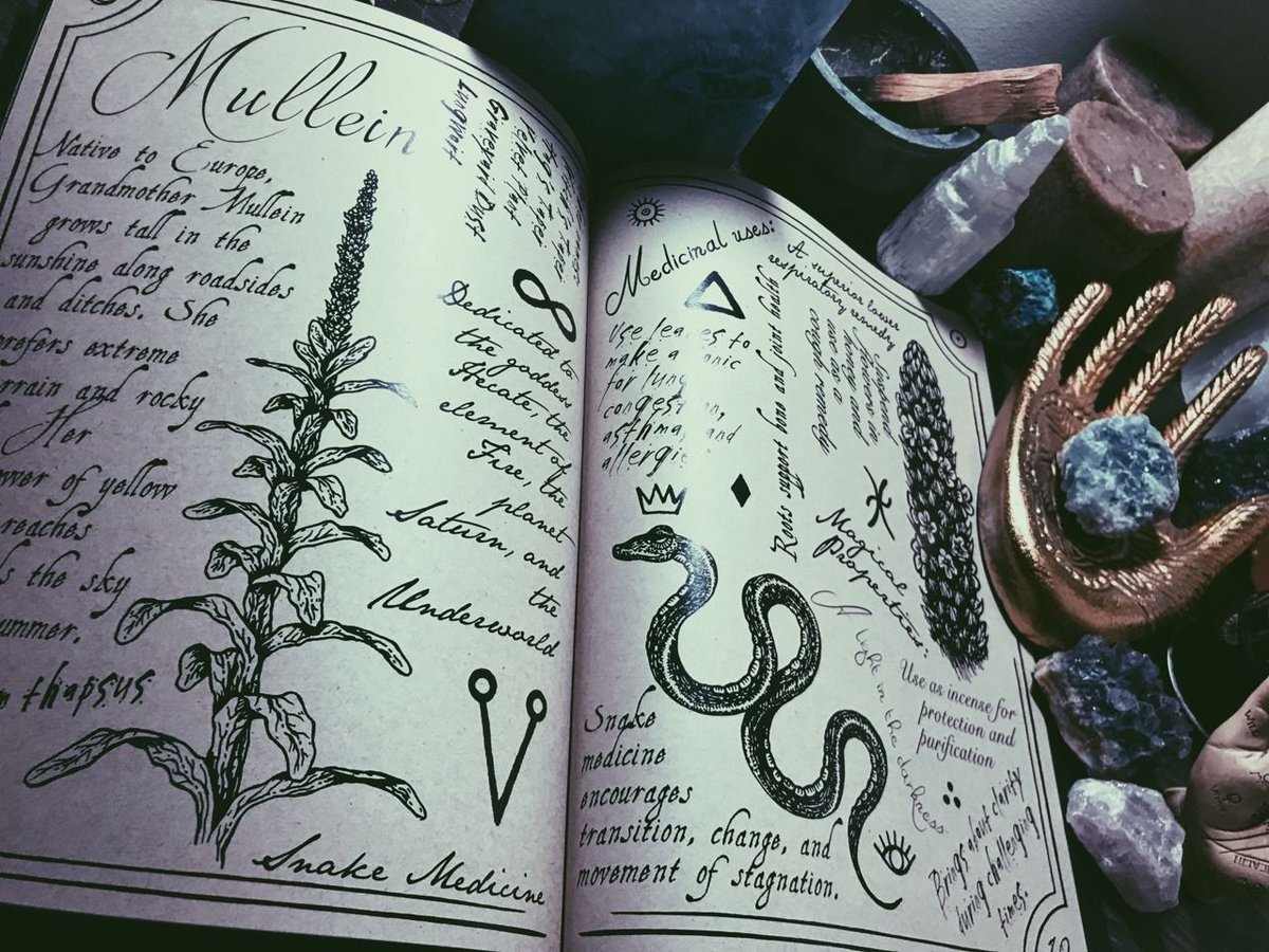 𝐚 𝐥𝐢𝐭𝐞𝐫𝐚𝐭𝐞, 𝐨𝐜𝐜𝐮𝐥𝐭-𝐚𝐬𝐬𝐨𝐜𝐢𝐚𝐭𝐞𝐝 𝐎𝐂.

𝐌𝐨𝐫𝐞 𝐢𝐧𝐟𝐨 𝐛𝐞𝐥𝐨𝐰!