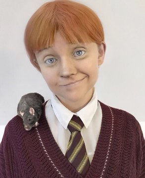TheHPfacts tweet picture
