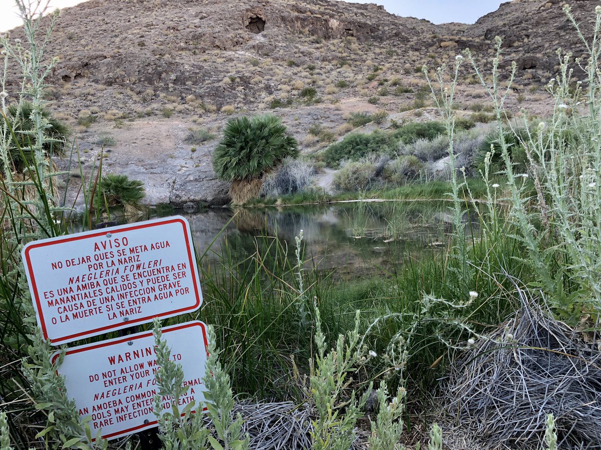 ExtremeRVing's tweet photo. There are still #oasis in the #MojaveDesert we came across #RogersSpring of the Northshore Road scenic route around @lakemeadnps a cool stop in the 109 F temps. #leaveordinarybehind #ExploreOurNation #OnTheRoad #iPhonePhotography #TravelTribe #rvlife @therverstv @rvworldnetwork https://t.co/8E38AIVnsX