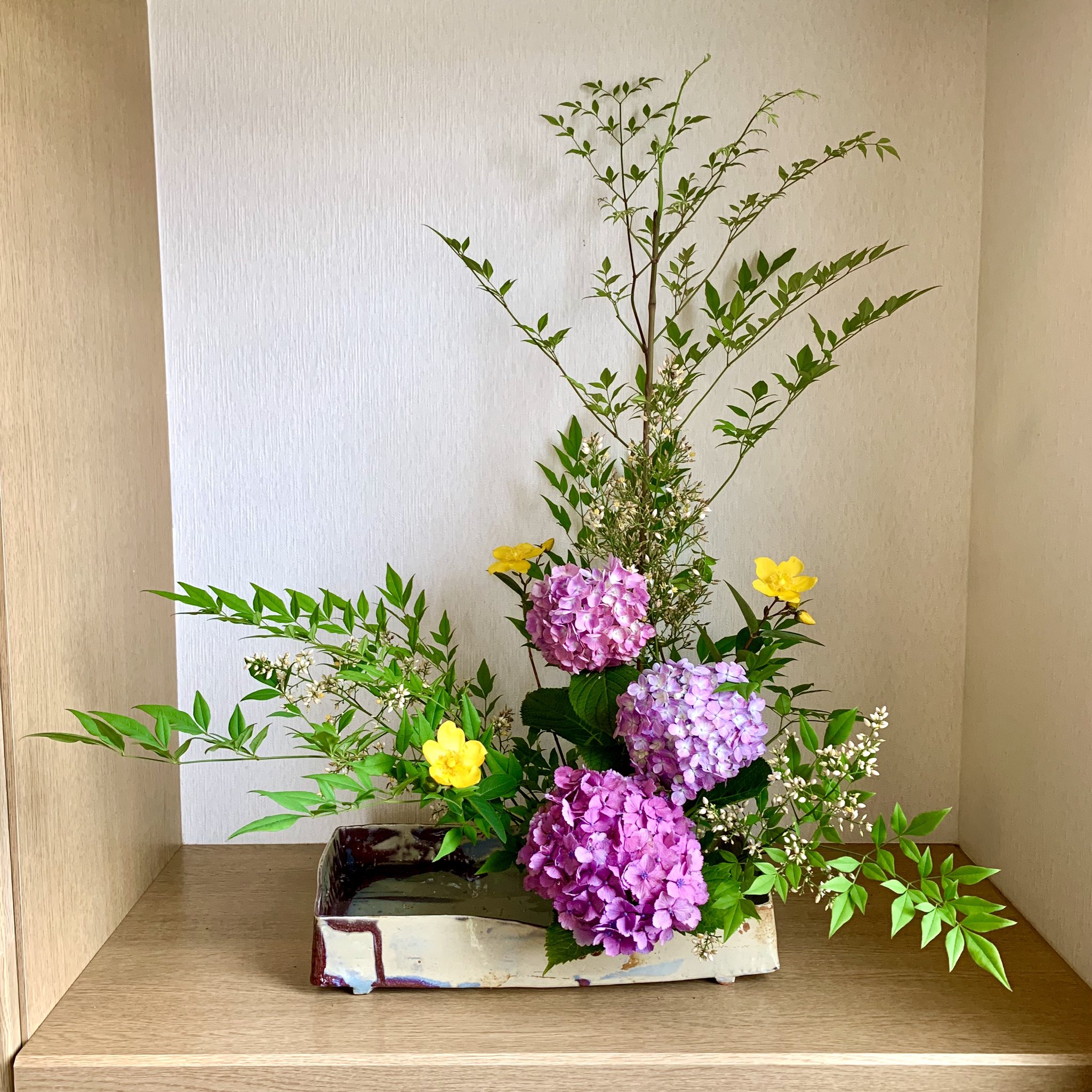 تويتر Ray Joseph レイです على تويتر 6 21 Sunday 庭に咲いた南天の葉と花 紫陽花 ヒペリカム ヒドコートを使って生け花しました I Arranged Flowers Japanese Ikeba By Using Our Garden Flowers 生け花 紫陽花 南天 ヒペリカム お花 Ikebana