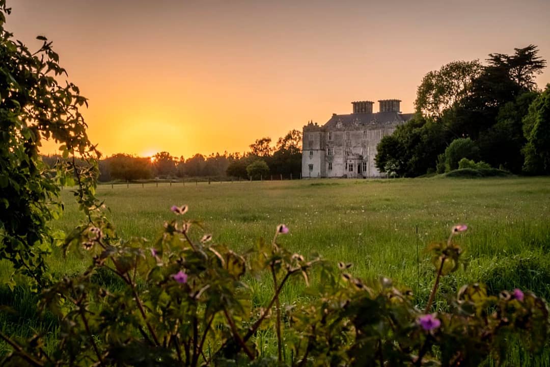 Stepping into paradise 🌷 Many of the gardens of #IrelandHiddenHeartlands are open for local visitors again, including Portumna Castle's Walled Gardens and the surrounding forest park! 🌳 #StayLocal 📸 allaroundireland [IG]