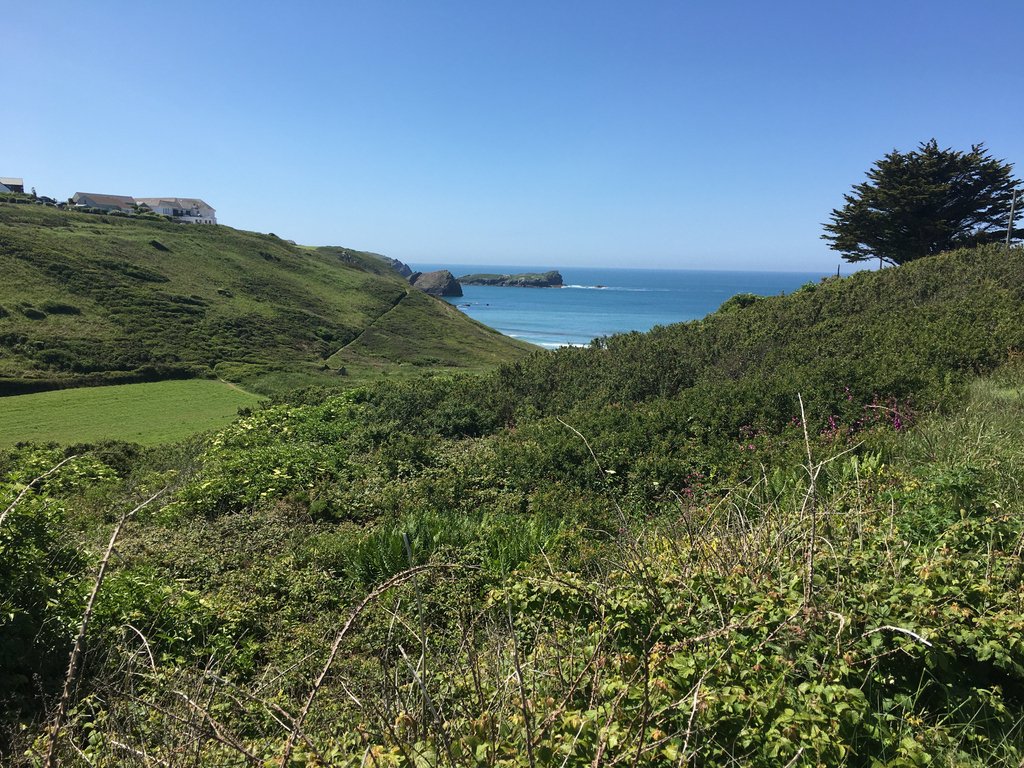 Colroger Holidays tweet media