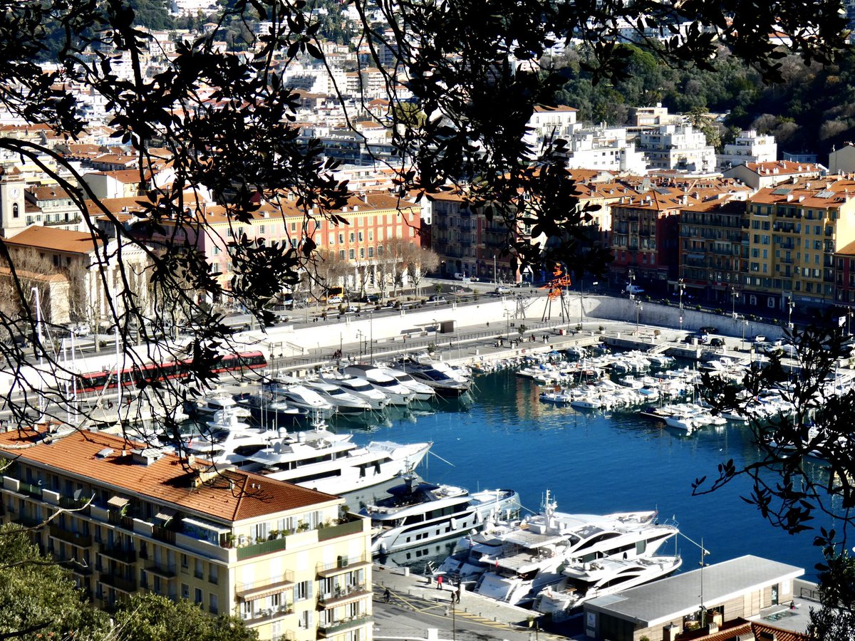 CongedoGianluca's tweet photo. Le #port de #Nice. Un #aperçu par la #forêt du #colline du #Château. https://t.co/mskjOz2e1B